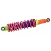RJ-1097 motorcycle shock absorber