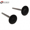 Honda Scooter Intake Exhaust Valve for Activa, SCR100, WH100